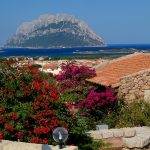 Sardegna-LEa-di-Lavru-Residence-Esterni-001