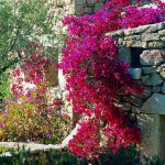 Sardegna LEa di Lavru Residence Appartamento 2 0004