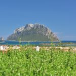 Sardegna L'Ea di Lavru Residence Appartamento 9 065