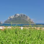 Sardegna L'Ea di Lavru Residence Appartamento 9 065